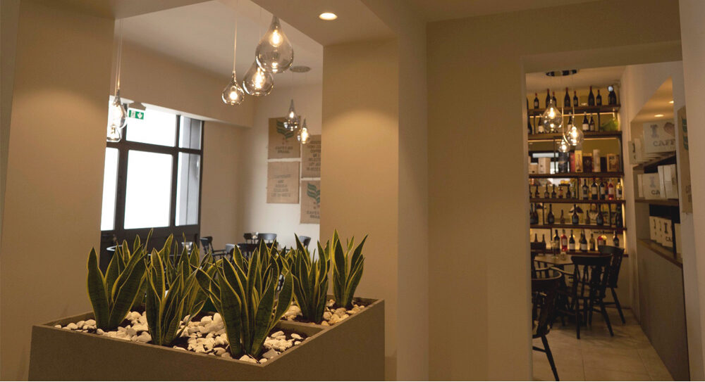 interno torrefazione con illuminazione calda e verde decorativo progetto Crucitti Architetti